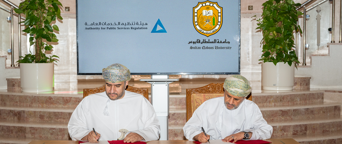 Cooperation Programme Enhancing Research and Training in Service Sectors